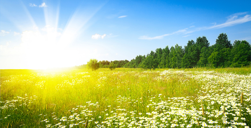 Update Kärnten Wetter App