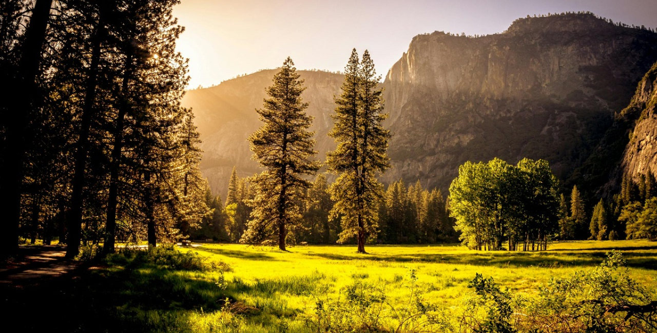 Fotocredit: www.pexels.com