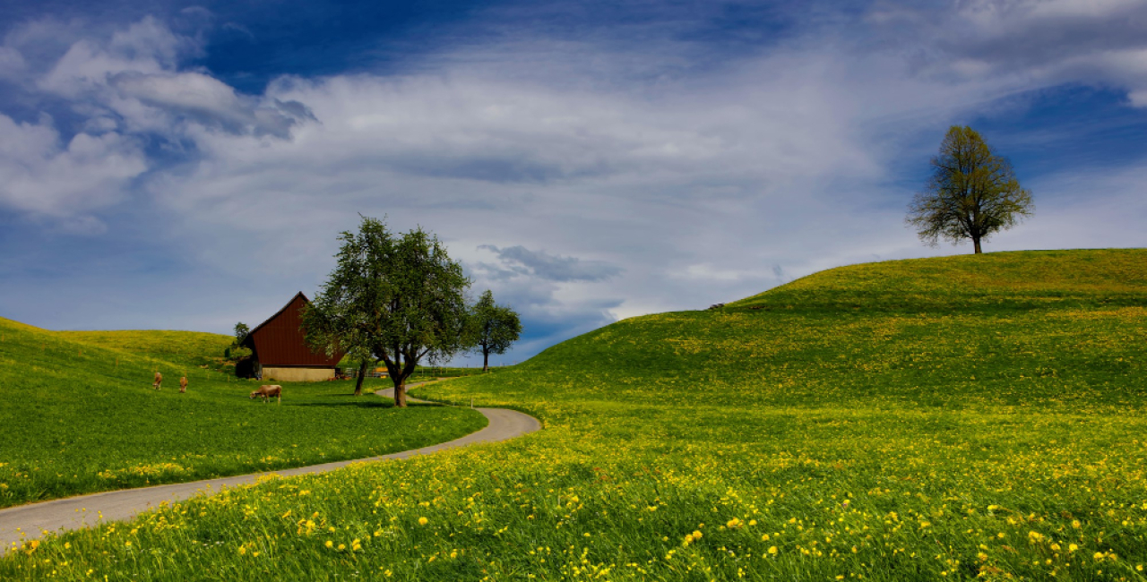 Fotocredit: Freepik