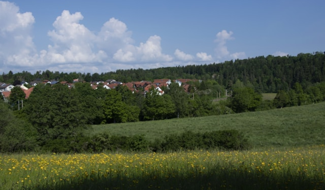 Paternion / Fotocredit: Unsplash