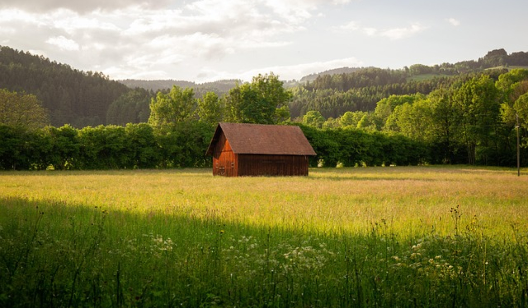 Maria Rain / Fotocredit: Pixabay