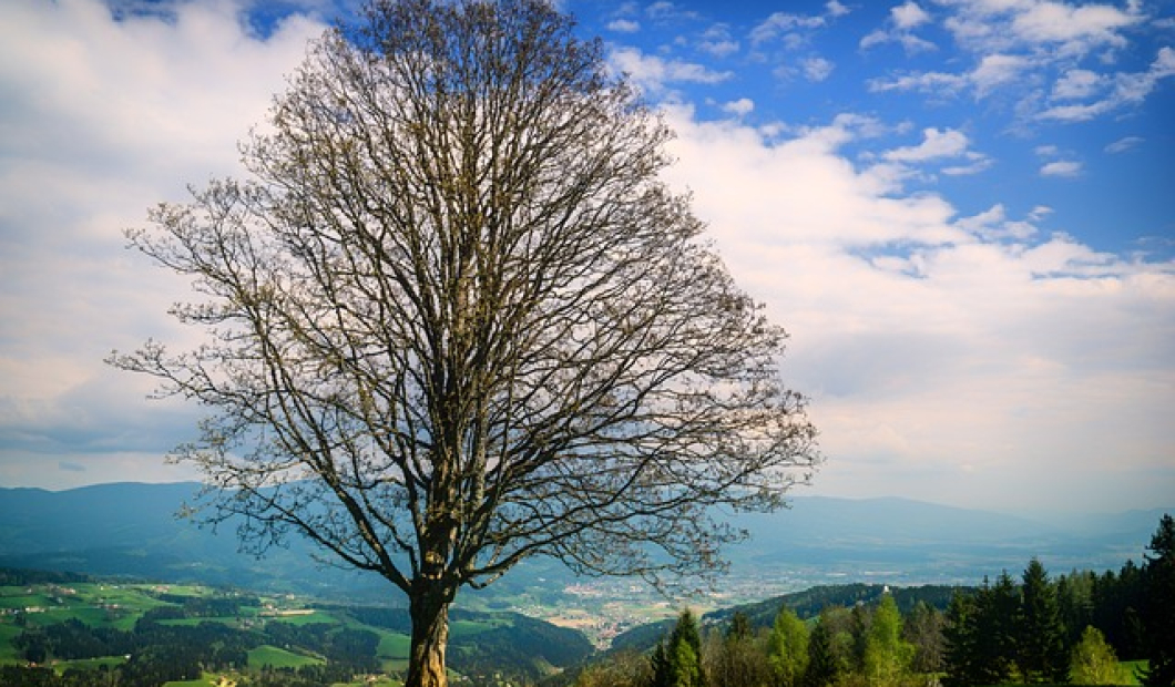 Grafenstein / Fotocredit: Pixabay