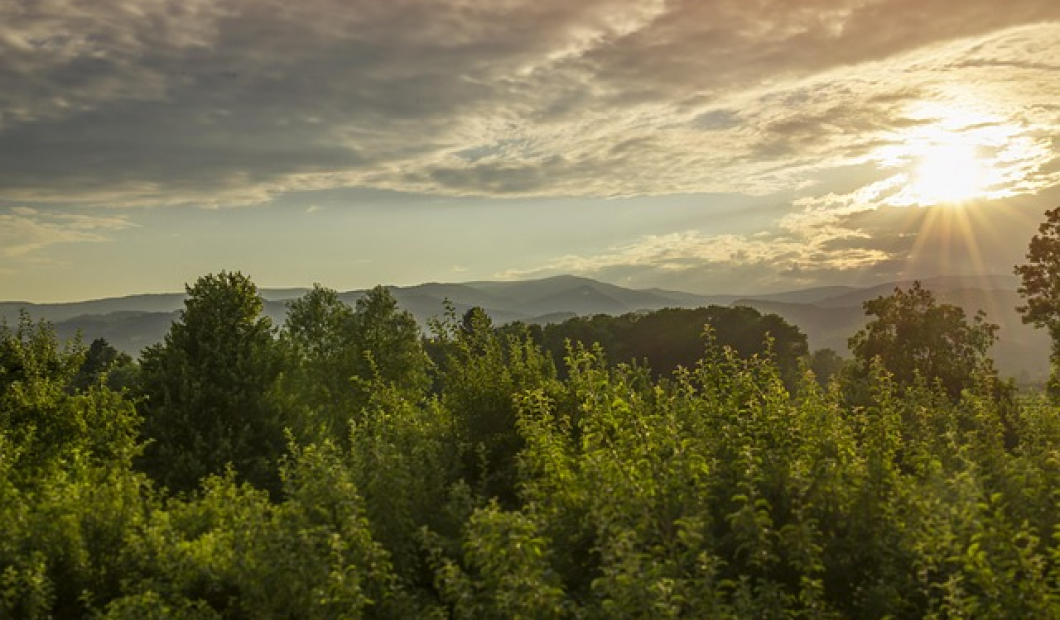 Guttaring / Fotocredit: Pixabay