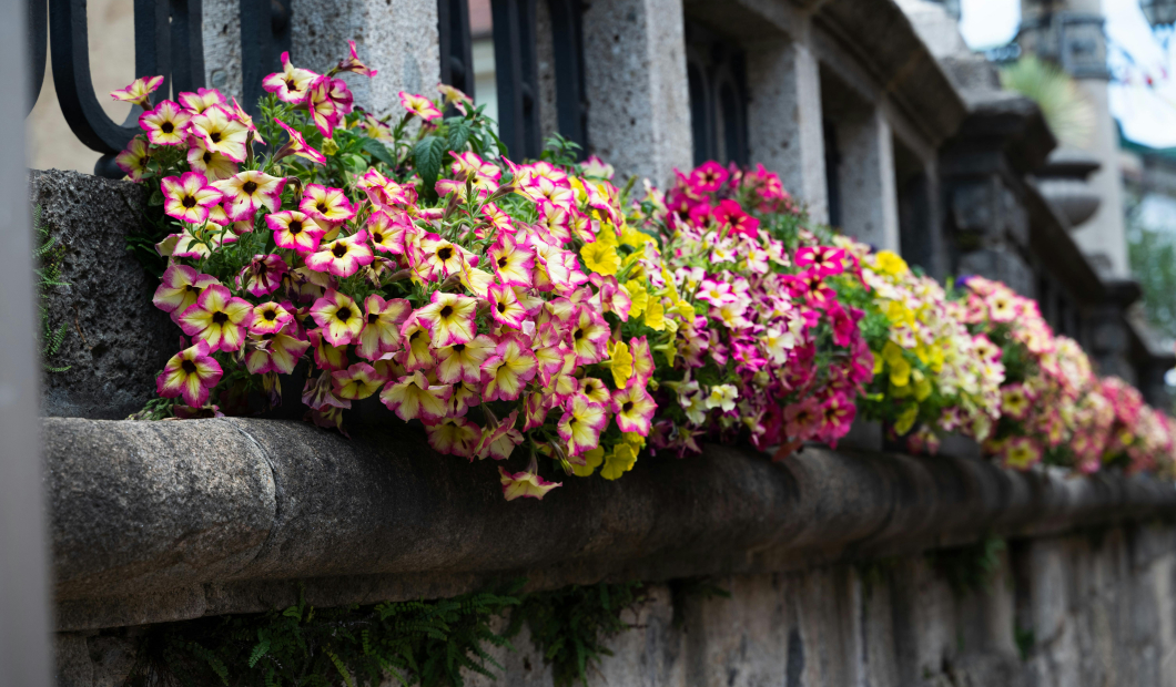 Gmünd / Fotocredit: Freepik