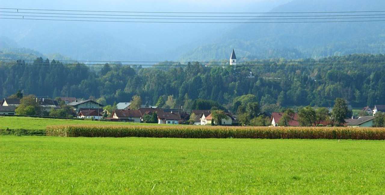 Fotocredit: www.pexels.com