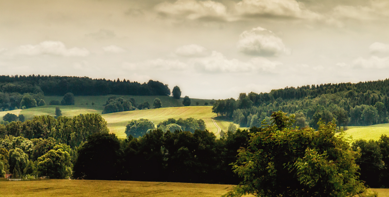 Fotocredit: www.pexels.com