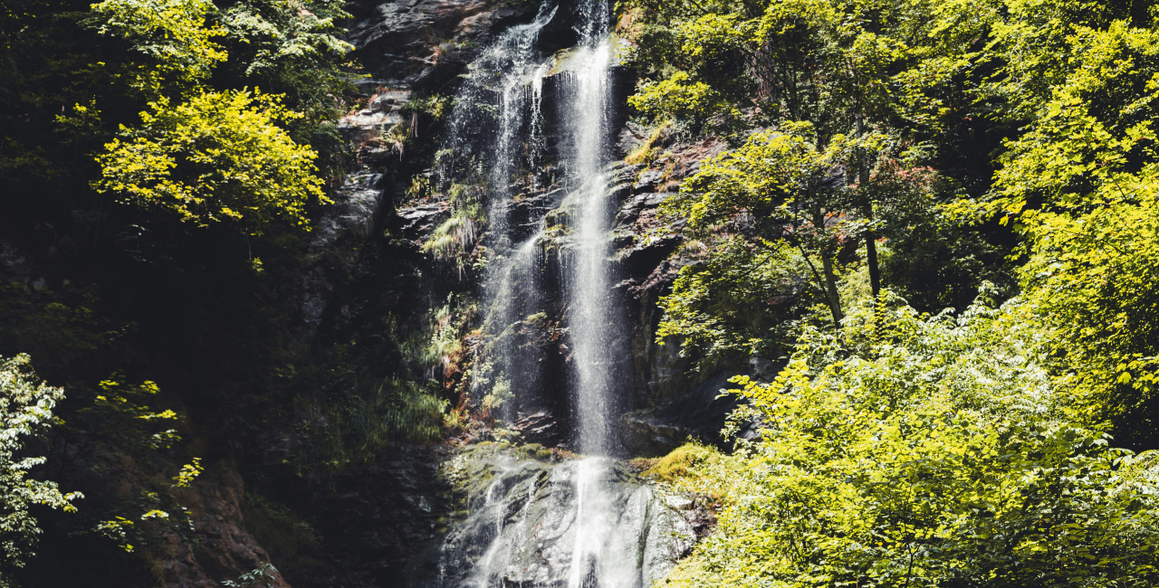 Fotocredit: www.pexels.com