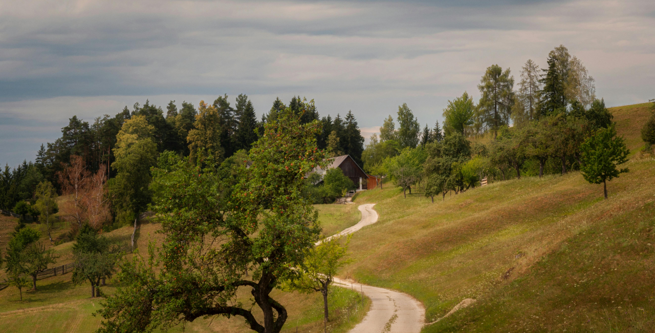 Fotocredit: www.pexels.com