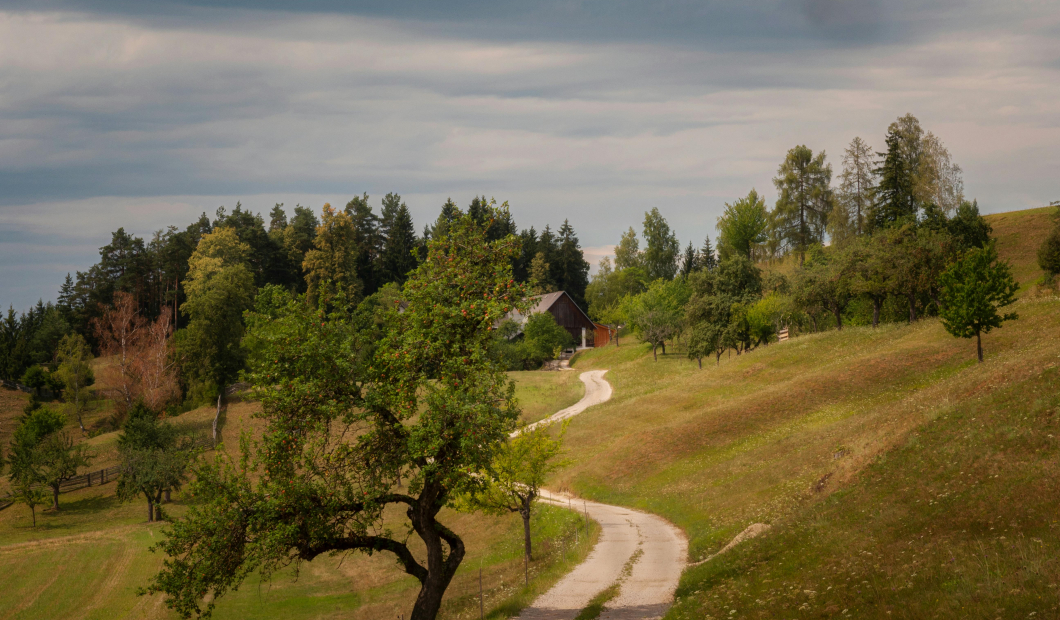 Trebesing / Fotocredit: www.pexels.com